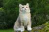 img_7795_small.jpg