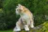 img_7797_small.jpg