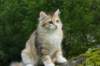 img_7800_small.jpg
