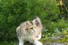 img_7809_small.jpg