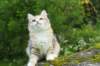img_7811_small.jpg