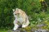 img_7812_small.jpg
