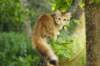 iuniaimg_7704_small.jpg