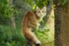 iuniaimg_7706_small.jpg