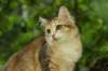 iuniaimg_7726_small.jpg
