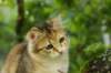iuniaimg_7730_small.jpg