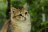 iuniaimg_7732_small.jpg