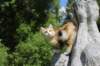 iuniaimg_7912_small.jpg