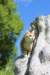 iuniaimg_7919_small.jpg