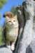 iuniaimg_7927_small.jpg