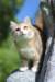 iuniaimg_7932_small.jpg