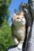 iuniaimg_7933_small.jpg