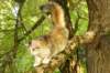 iuniaimg_7957_small.jpg