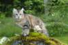 ibbie4kk3viimg_786012_small.jpg