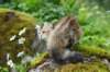 ibbie4kk3viimg_786067_small.jpg