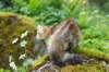 ibbie4kk3viimg_7860682_small.jpg