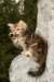 img_7187_small.jpg
