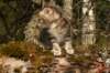 img_6259_small.jpg