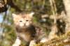 img_6266_small.jpg