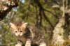 img_6267_small.jpg
