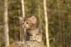 img_6435_small.jpg