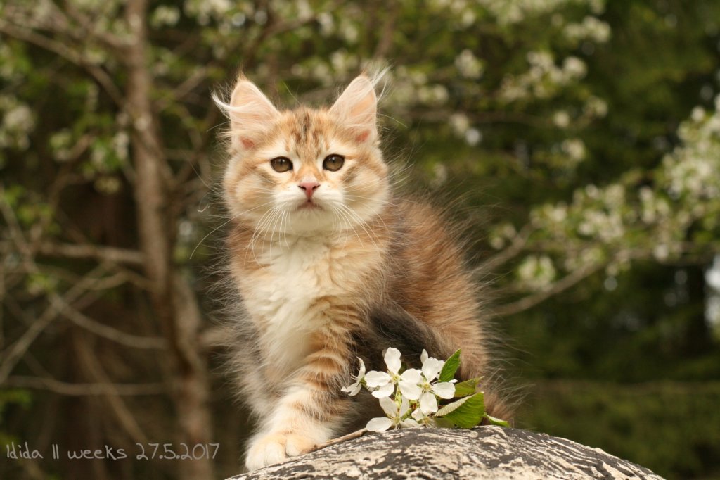 ididaimg_7611.jpg