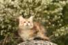 img_7566_small.jpg