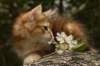 img_7593_small.jpg