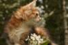 img_7594_small.jpg
