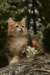 img_7596_small.jpg