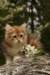 img_7597_small.jpg