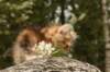 img_7600_small.jpg