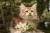 img_7601_small.jpg