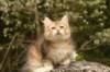 img_7619_small.jpg