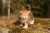 img_6001_small.jpg