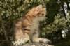 img_7718_small.jpg