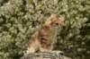 img_7720_small.jpg