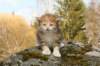 idumeagirlimg_6020_small.jpg