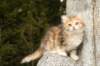 img_7238_small.jpg