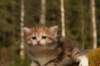 img_6395_small.jpg