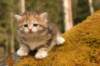 img_6396_small.jpg