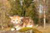 img_5943_small.jpg
