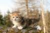 iuniagirlimg_5937_small.jpg