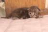igdaliahgirl25weeks17125_small.jpg