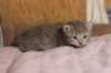 imnahgirl25weeks171211_small.jpg