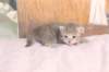 imnahgirl25weeks17124_small.jpg