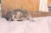 imnahgirl25weeks17126_small.jpg