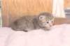 imnahgirl25weeks17128_small.jpg