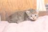 imnahgirl25weeks17129_small.jpg