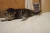isaacboy25weeks171225_small.jpg
